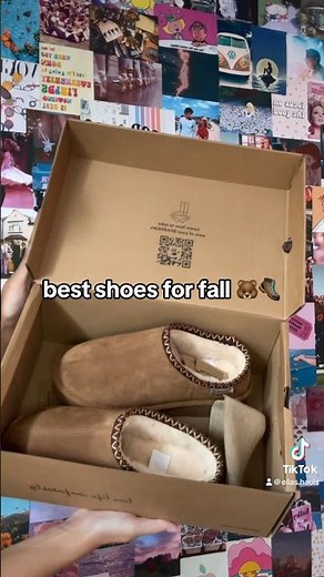 bearpaw slipper haul 🐻 #fashion #shoehaul #slippers #shoes #haul #bearpaw