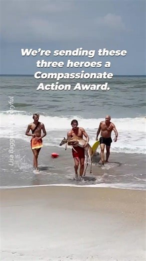 Firefighters Risked Their Lives to Save a Drowning Deer