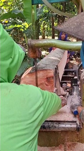 operator !! wood slicing skills with super sharp circular saw machine #serkelsaw #teak