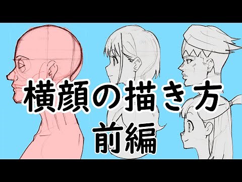 どんなキャラでも描けるようになる！横顔の描き方前編「基本の構造と比率」