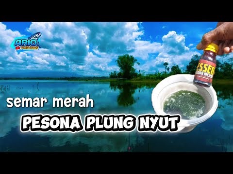 Happy Spot‼️ Plung Nyut Fishing‼️ Karangkates Reservoir, Malang, East Java, Indonesia