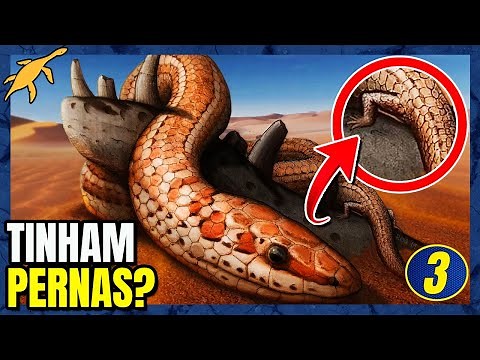 Origin and Evolution of Snakes