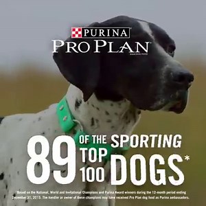 58K views · 1.2K reactions | No other dog food can match Purina Pro Plan’s record. | Purina Pro Plan for Professionals | Facebook