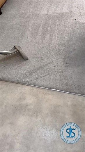 🎄✨ Only 8 Weeks Until Christmas! ✨🎄 The countdown has begun — and there’s no better time to get your home Christmas-ready with SS Carpet Cleaning Ltd! 🏡🎁 Before the guests arrive and the decorations go up, let us bring your carpets and upholstery back to life — fresh, clean, sanitised and beautifully soft underfoot. ✅ Deep cleaned, sanitised & deodorised ✅ Upholstery refreshed and revived ✅ Fast-drying Texatherm system (dry in 30–90 mins!) Don’t wait until the last minute — pre-Christmas app