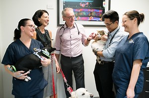 About Us - Veterinary Cardiologists Australia
