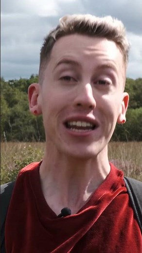 What eats meat and lives in a bog? #NaturalHistoryMuseum #CarnivorousPlants #Nature