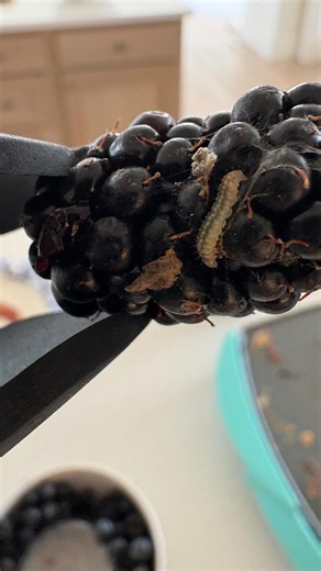 31K views · 44 reactions | A little extra protein never hurt anyone...