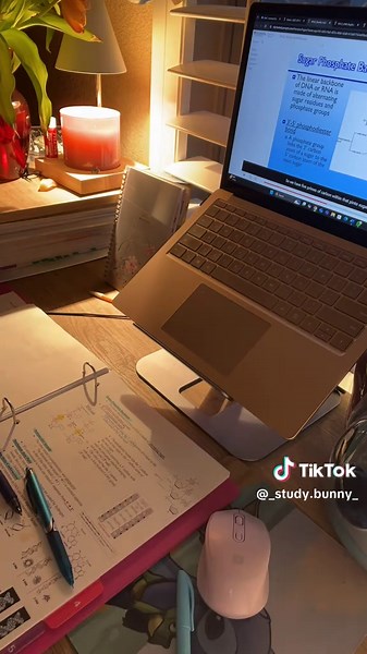 Returning to Study Motivation After Break