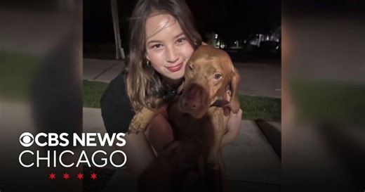 Pedestrian gates installed at Barrington railroad crossing where teen died