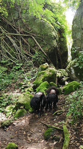 Exploring the Cave of Wealth: Adventure Awaits