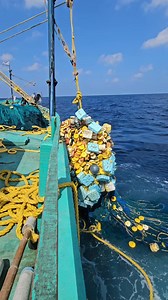 Wow i got jackpot😮😮😮 #fishing | Thiruchendur Meenavan