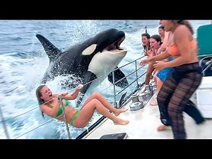 80 Luckiest People Ever Caught on Camera