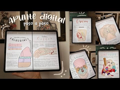 STEP-BY-STEP DIGITAL NOTEBOOK | Studiescah