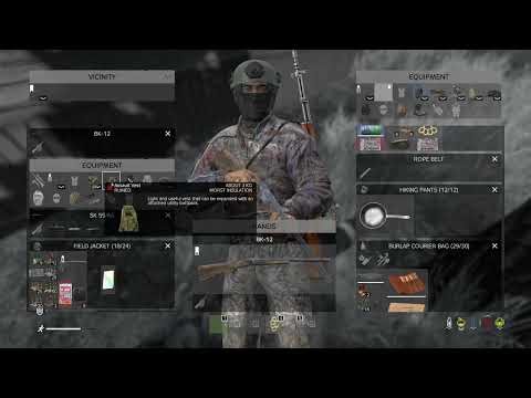 Checkout my DayZ gameplay recorded with Insights.gg