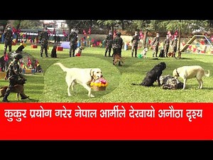 कुकुर प्रयोग गरेर नेपाल आर्मीले देखायो अनौठो दृश्य Nepal Army #Army_Trained_Dogs #Army_Dog #Dog_work