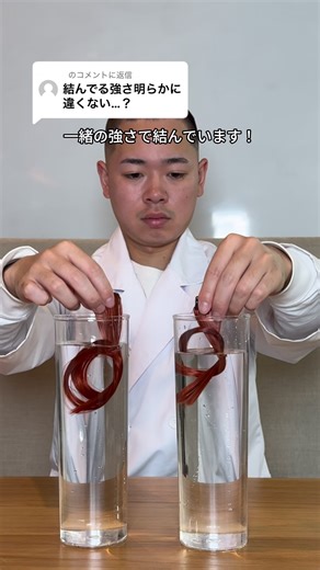 フィーノヘアオイルの魅力と効果