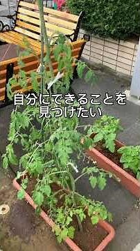 私たちは自立援助ホームMOMOです #自立援助ホーム #児童養護施設 #社会的養護 #若者支援 #社会福祉