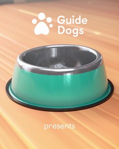 2.7K views · 105 reactions | We've got someone we want you to meet...tune in to ITV at 9.20am tomorrow where Flash will be taking over the whole ad break to celebrate our 90th year on International Guide Dog Day! [Visual description: A 3s animated clip showing a dog bowl with the Guide Dogs logo on it spinning around to reveal the name 'Flash' on the front. Text reads: Guide Dogs presents Flash] | Guide Dogs UK | Facebook
