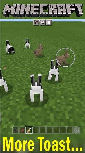 Minecraft What! How do you name a Rabbit toast in Minecraft? Minecraft Wiki | Minecraft #shorts