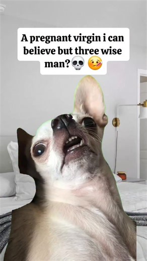 Musa on Instagram: "Impossible 🤒 #fypシ゚viralシfypシ゚ #christianhumor #viral2026 #justforfun✌"