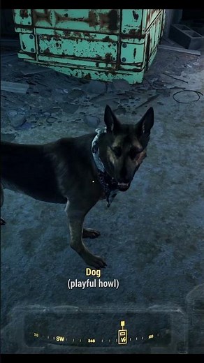 How to get Dogmeat to carry 100+ extra pounds in Fallout 4 survival mode #shorts