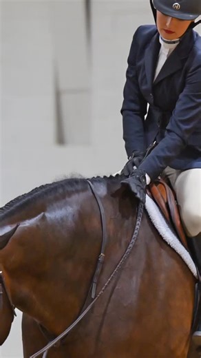 276 reactions · 7 comments | Addison Krause and AL BE AT THE BAR finished their last year of youth at the 2025 All American Quarter Horse Congress with great results! - Congress Champions in Youth Working Hunter Under Saddle (2nd year in a row!) - 7th Place in Senior Hunter Hack with Ryan - 8th Place in Open Working Hunter Under Saddle with Jesse Jones Great work, team! 壟 Thank you to Shane Rux Photography for capturing these moments! | Ryan Painter Show Stables | Facebook