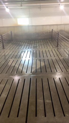 Hog Barn Washing | Efficient Techniques for Clean Farms