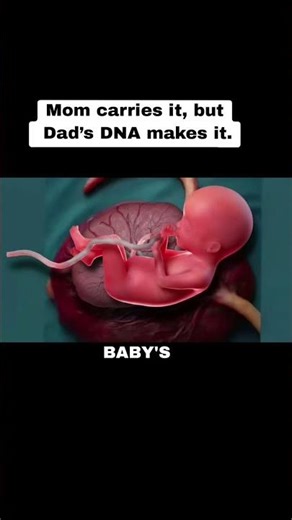 How a baby's DNA is passed from father to child at conception #reproductivehealth #viral #pregnancy