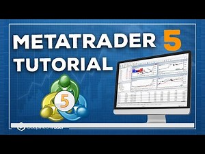 LESSON 6: Mastering MetaTrader 5: Your Comprehensive Guide to Trading Success