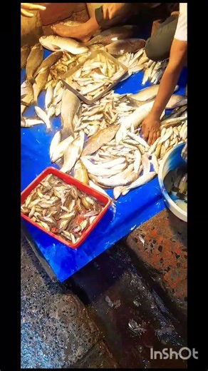 FISH VIDEO ON YOUTUBESHORT #SHORT #VIRAL #FISH