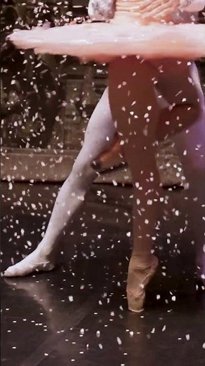 Princess Aurora & Prince Désiré ✨👑 | The Sleeping Beauty Ballet