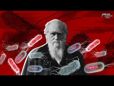 What is the best Darwinian objection to irreducible complexity?