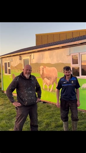 New Artwork for the Farm Cabin #farm #farming #irish #ireland #uk #lambs #cows | sheep_shepherd__