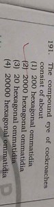 The compound eye of cockroaches consist of about(1) 200 hexago... | Filo