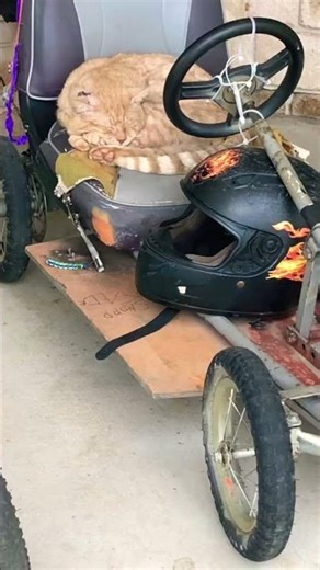 All of the Skopp 1347 Billy cart stages