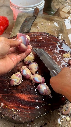 how to clean chicken gizzards | Nur fauziahmo