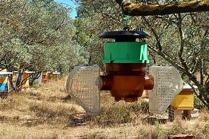 VelutinaTrap, l'invention d'un piège à frelons asiatiques sélectif à double entrée