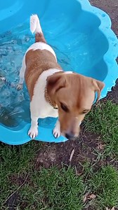 18K views · 501 reactions | He's got a long way to go, having gained...