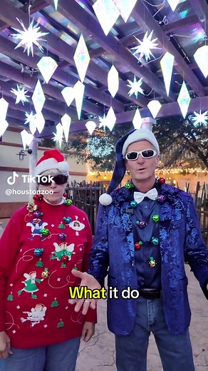 Houston Zoo on TikTok