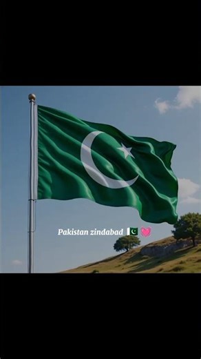MAIN PAKISTAN HOON MAIN ZINDABAD HOON 🇵🇰🇵🇰🇵🇰