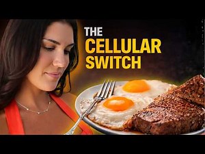 Reset your insulin in 24 hours: what I eat from morning to night