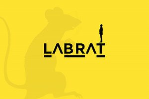 The Ladder — HATCH ESCAPES