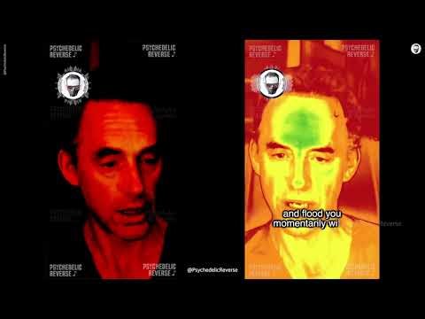 Explaining Common Psychedelic Visuals 💃🕺 - Let's Not Get Serious!