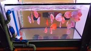 Continua ancora per questa settimana il 50% di sconto su tutti i...