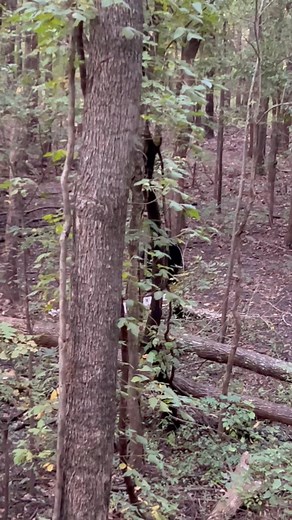 What an evening of hunting | Mark Mckay