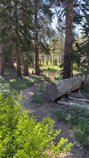 ONLY 48 HOURS LEFT to use code: CDSR1 and get access to our statewide ride calendar for only $1! All dirt focused bikes are welcome! #CDSRNation #enduro #dirtbike #dualsport | California Dual Sport Riders