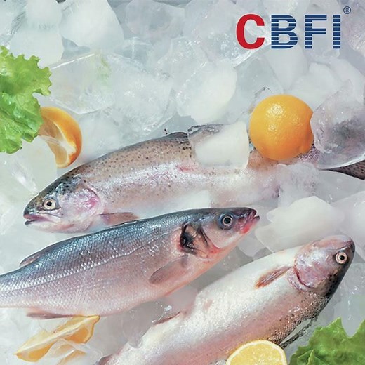 CBFI® Commercial Ice Tube Machine