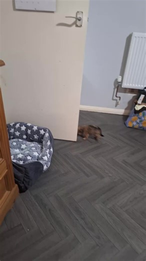 nick (@nicholas2official)’s videos with original sound - nick