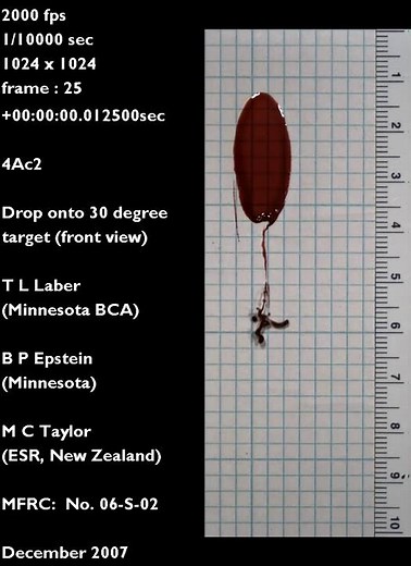 Blood drop falling to a 30 degree target (front view) | Blood Spatter Analysis