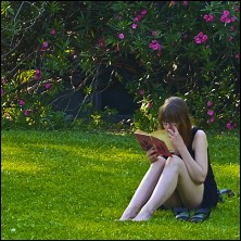 Activating and Building Background Knowledge